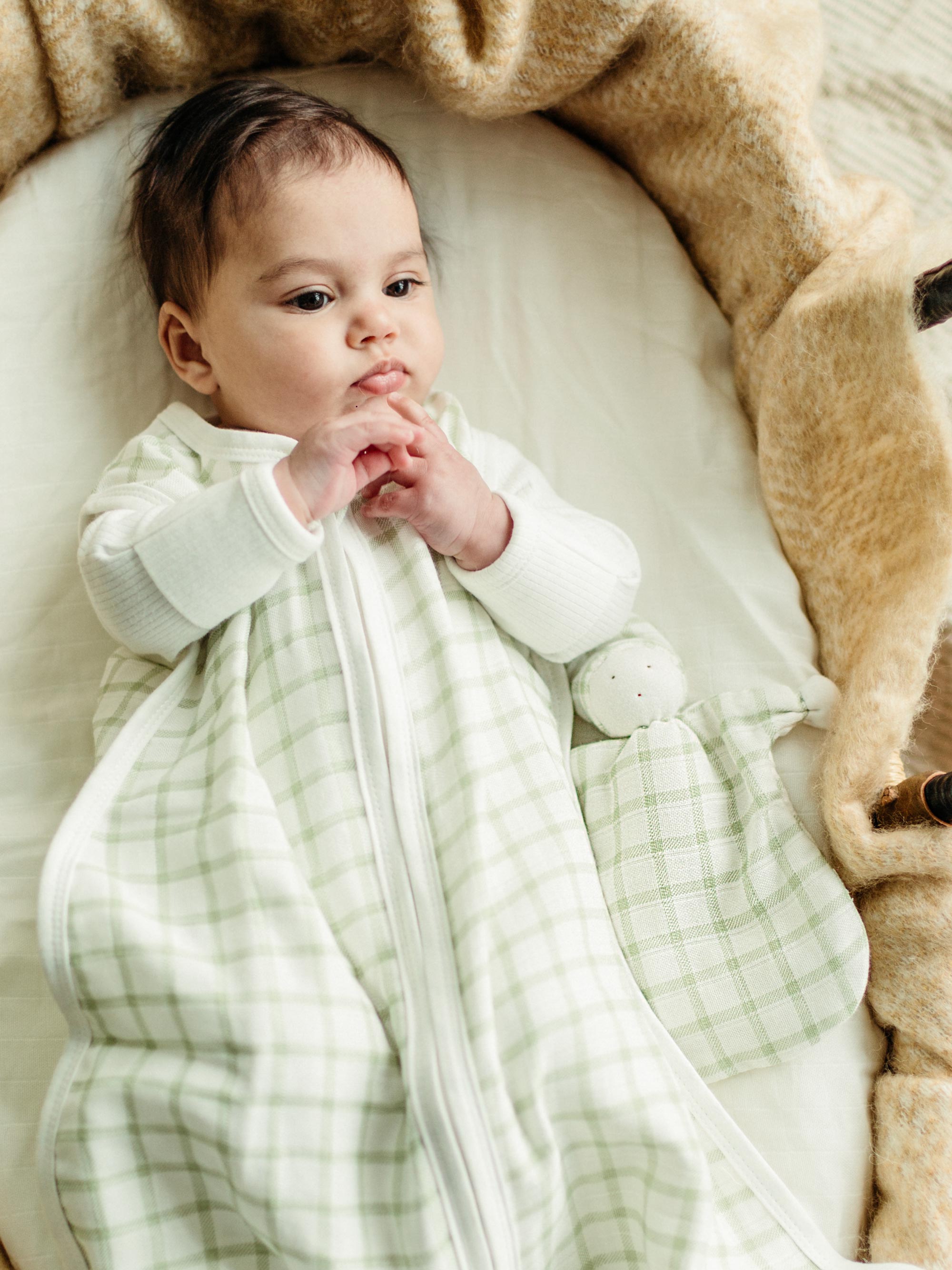 Muslin Sleeping Lovey -  Sage Windowpane