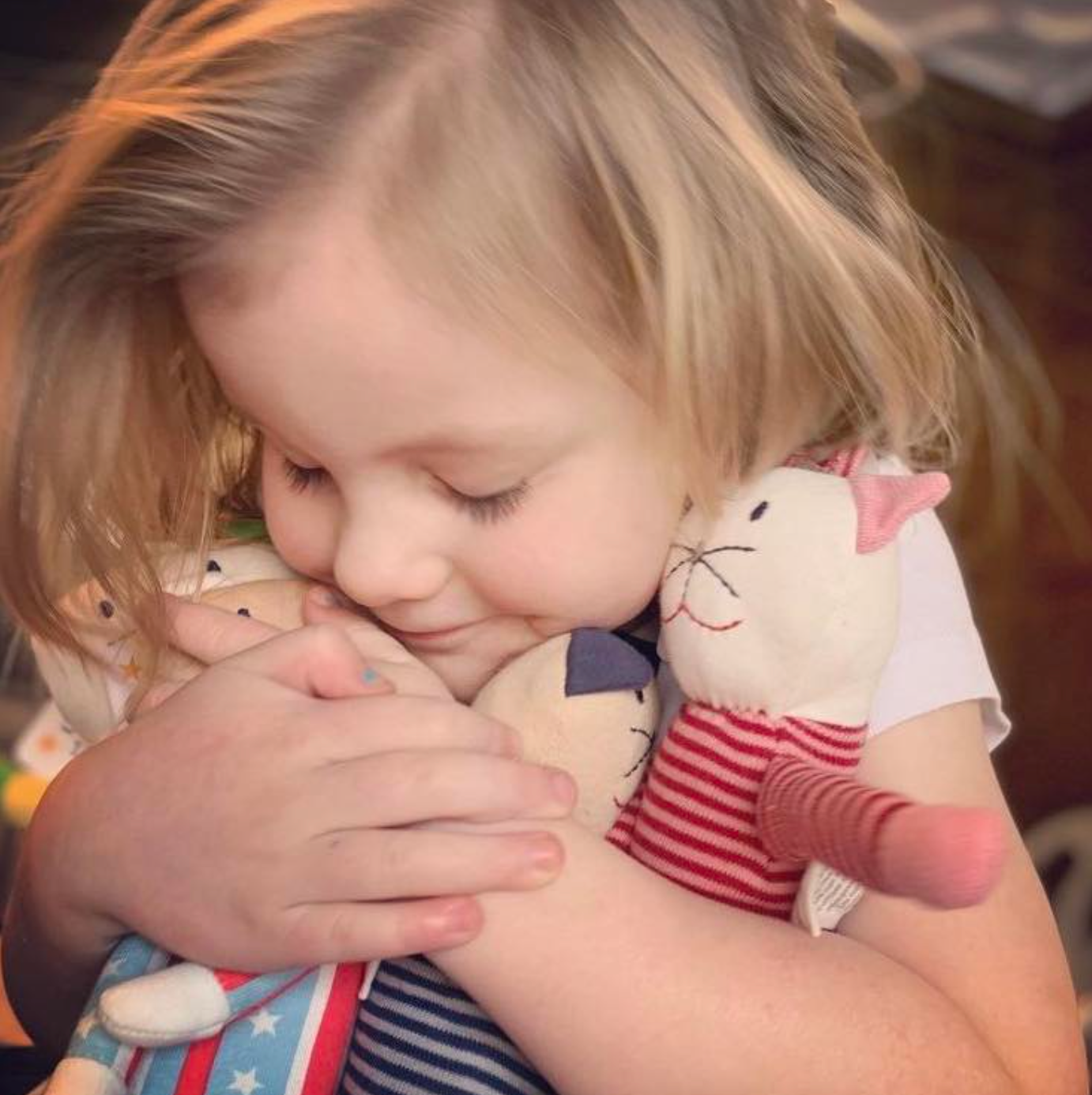 Scrappy Cat - Assorted Colors