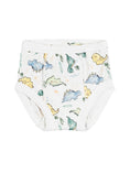 Load image into Gallery viewer, Potty Training Pants - Dino