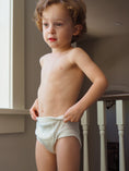 Load image into Gallery viewer, Potty Training Pants - Gray Ombre Stripe