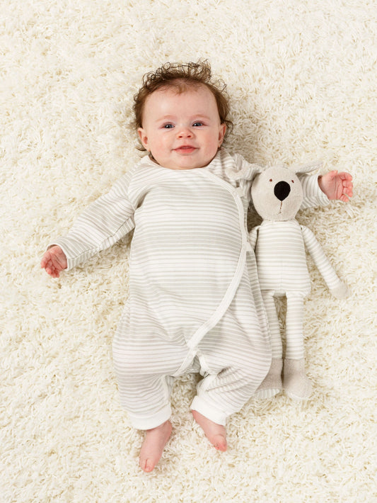 Buddy the Dog - Grey Ombre Stripe