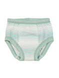 Load image into Gallery viewer, Potty Training Pants - Sea Breeze Stripe
