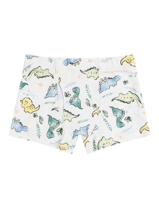 Boys Boxer Briefs - Dino