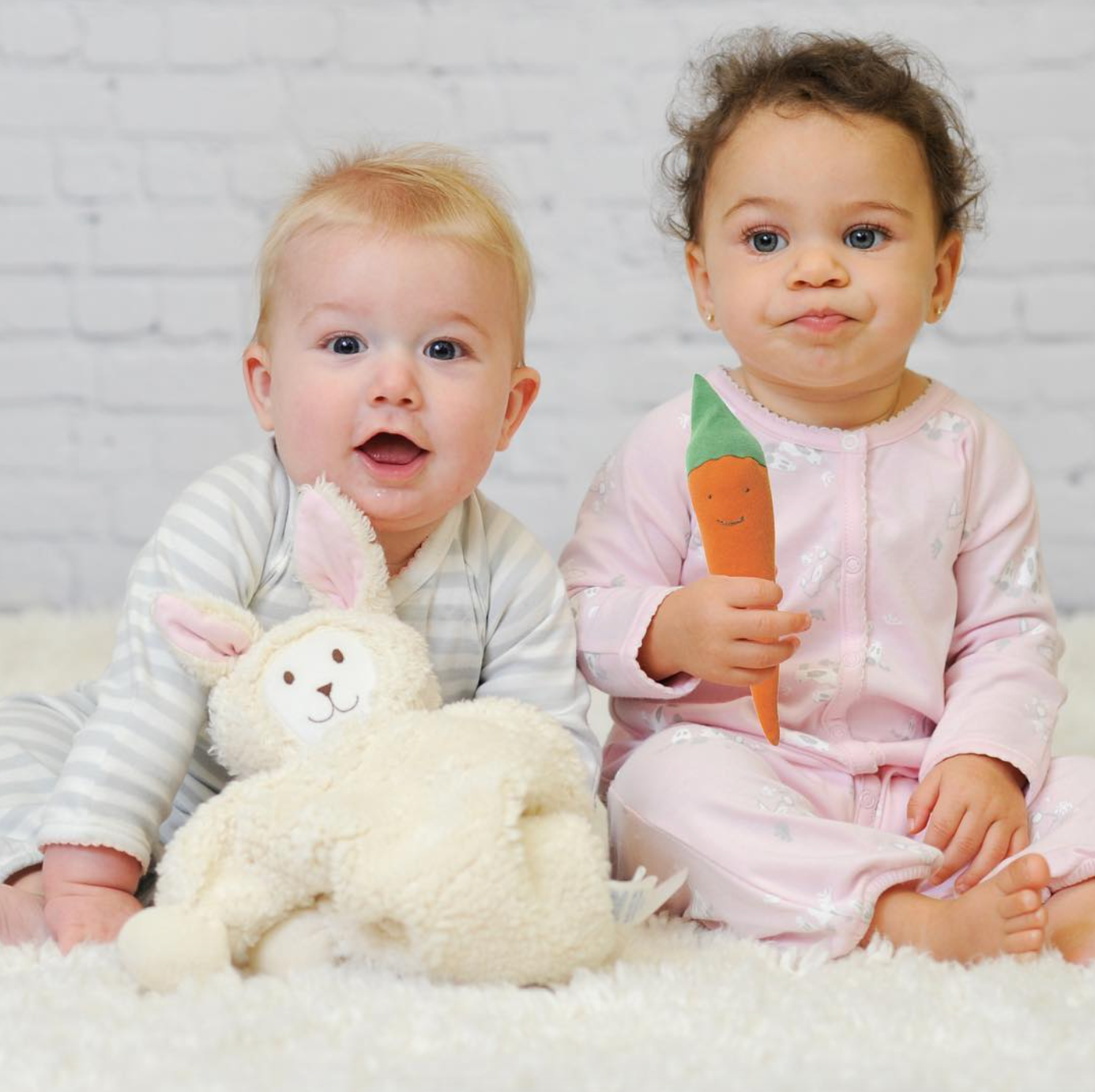 Carrot Veggie Toy