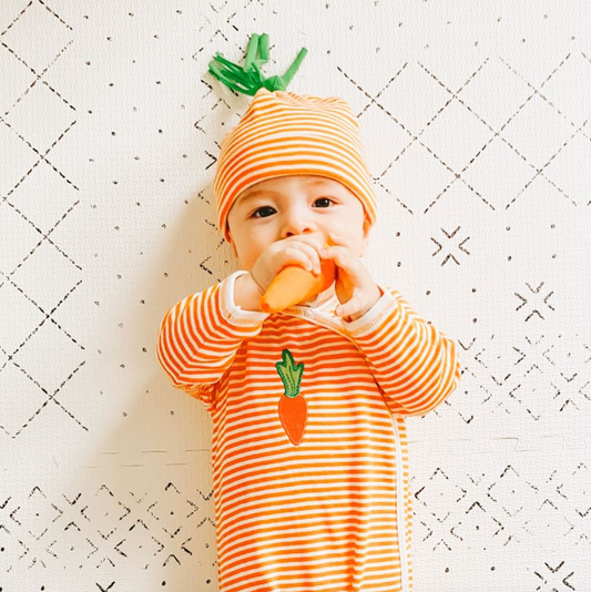 Carrot Veggie Toy