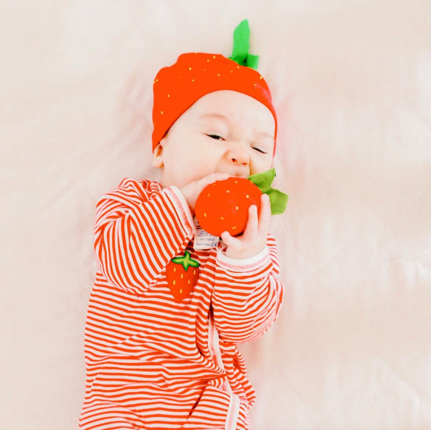 Strawberry Fruit Toy