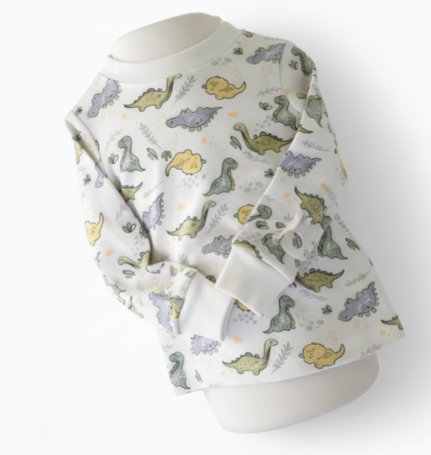 Organic Cotton Toddler Long Johns – Dino Print