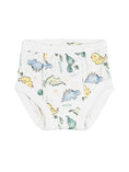 Load image into Gallery viewer, Potty Training Pants - Dino
