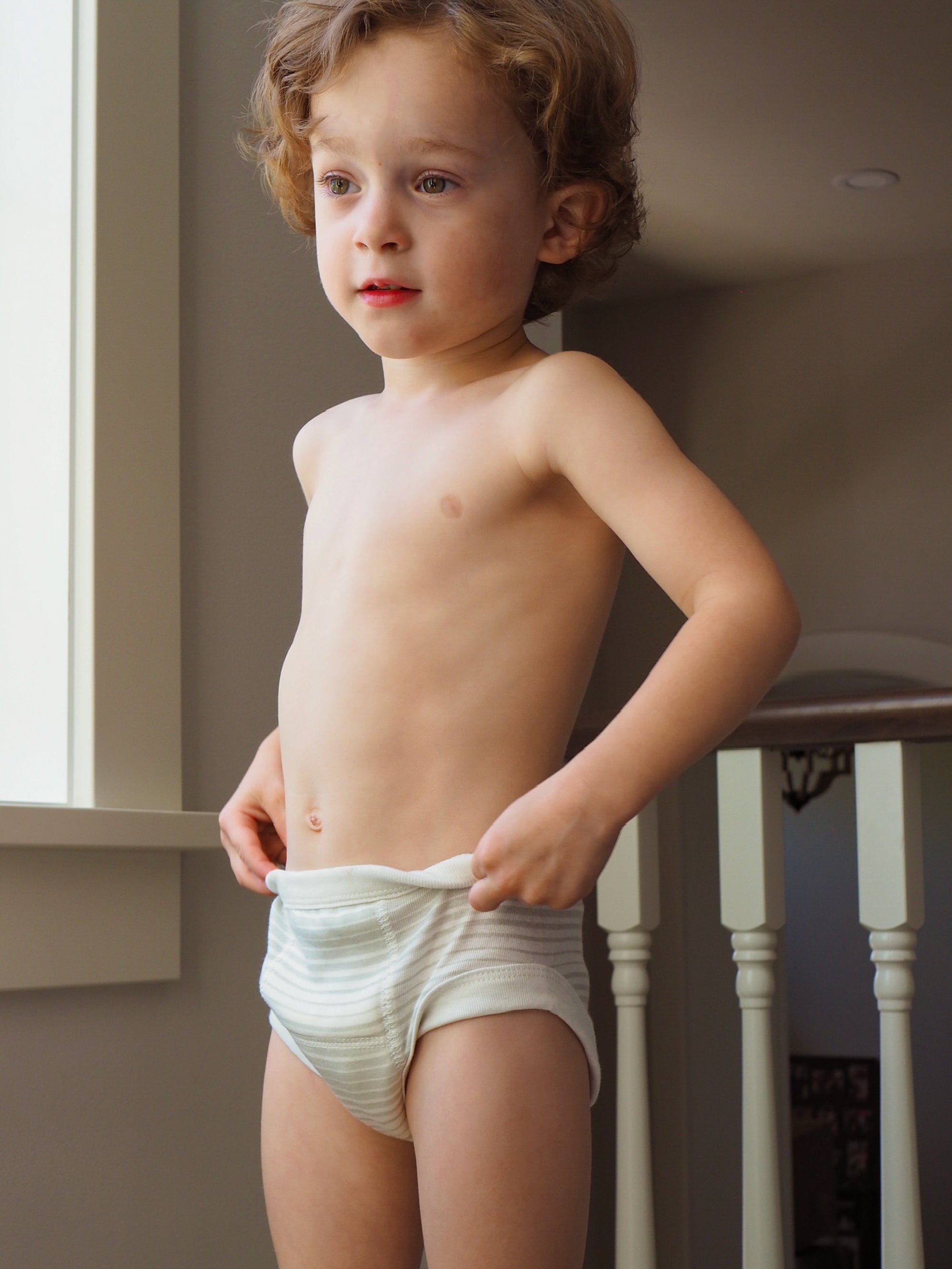 Potty Training Pants - Gray Ombre Stripe