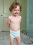 Load image into Gallery viewer, Potty Training Pants - Sea Breeze
